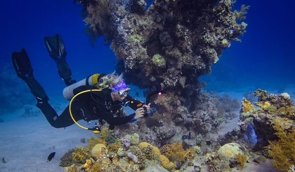 PADI SPECIALTY THREE DIVES